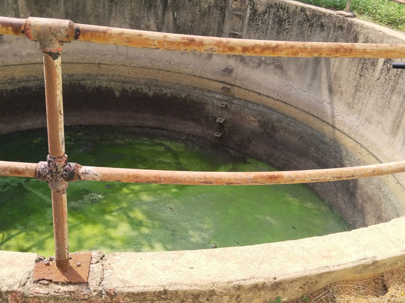 STP Plant Cleaning Services